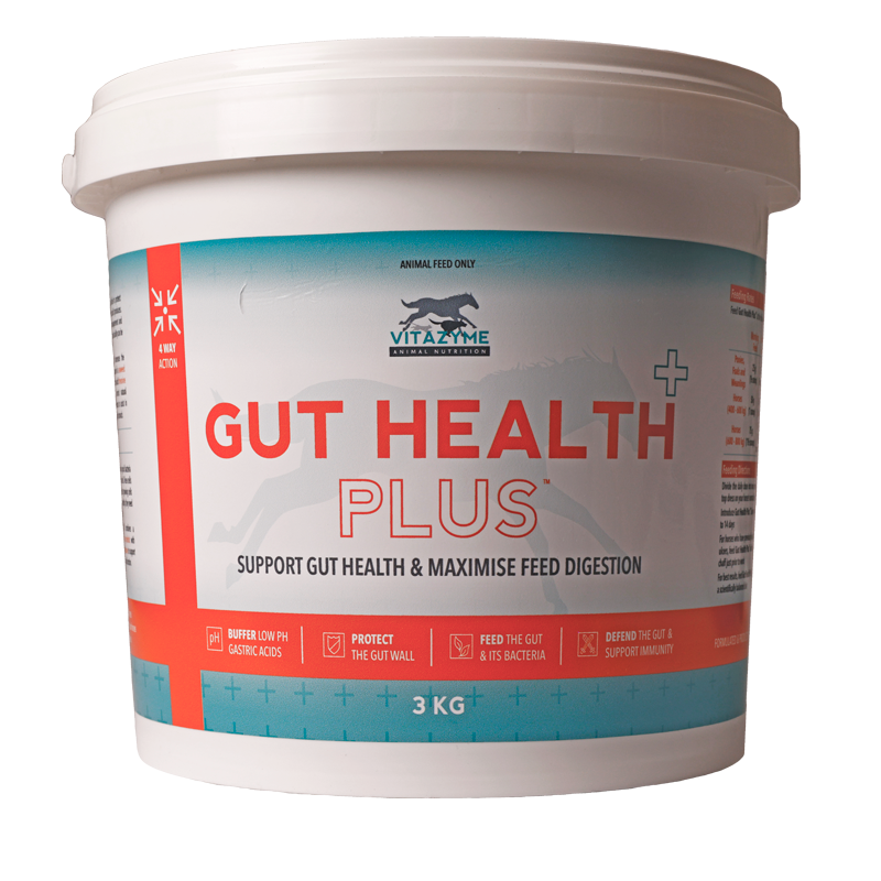 Gut Health Plus 3Kg