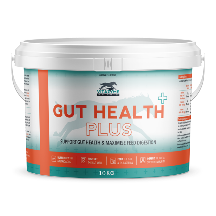 Gut Health Plus Pellets