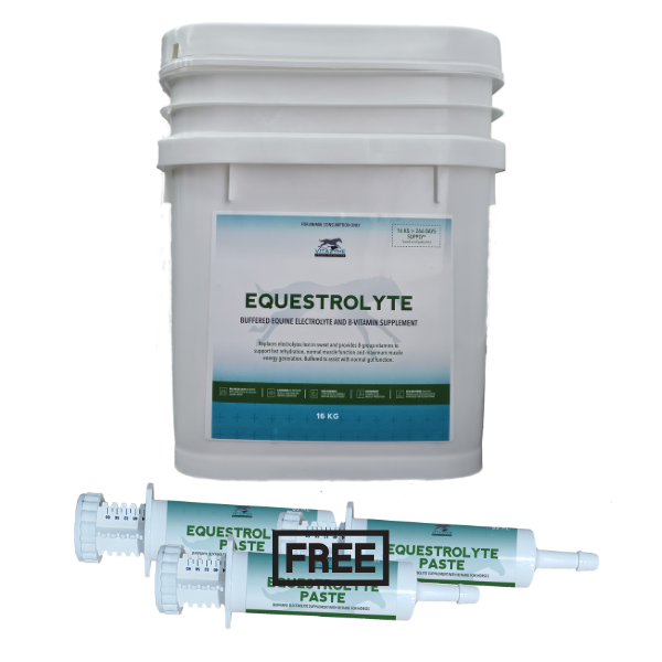 Equestrolyte Powder + 3 FREE PASTES EOFY SALE