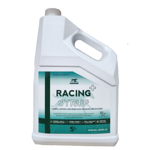 Vitazyme Racing Syrup 2 X 5L
