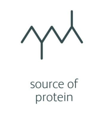 The Importance Of Protein In The Horse’s Diet