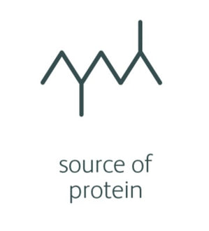 The Importance Of Protein In The Horse’s Diet