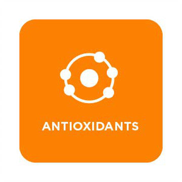 Importance Of Antioxidants