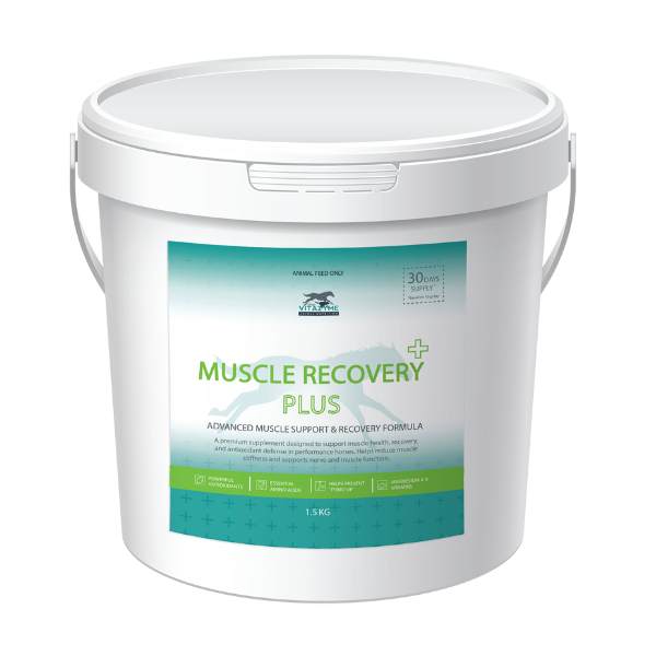 Vitazyme Muscle Recovery Plus