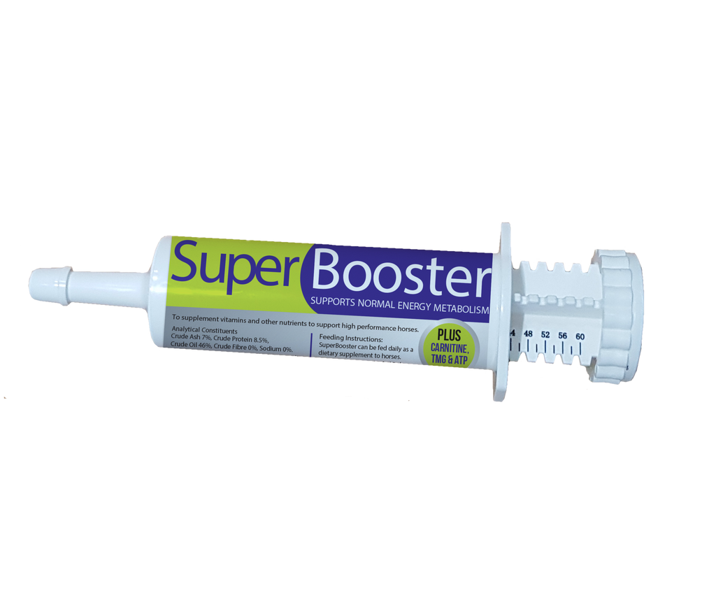 l-carnitine paste for horses Horse Master Pro it supports optimal muscle function and stamina Ranvet BC5 Paste