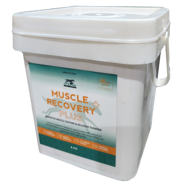 Vitazyme Muscle Recovery Plus