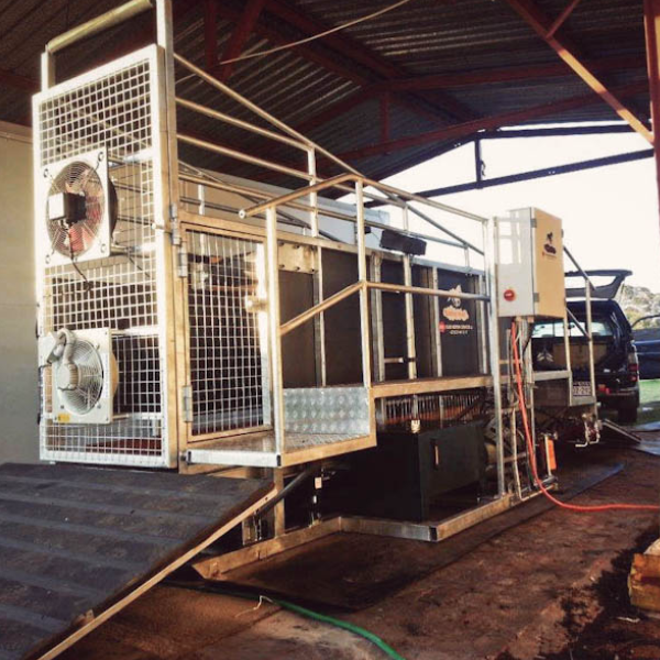 Fluid Motion Treadmill by Amacron Equine