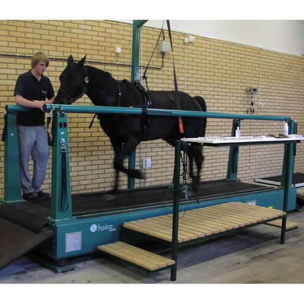 Haico Treadmill by Amacron Equine