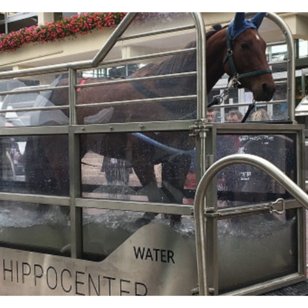 Hippocenter Balneotherapy Systems