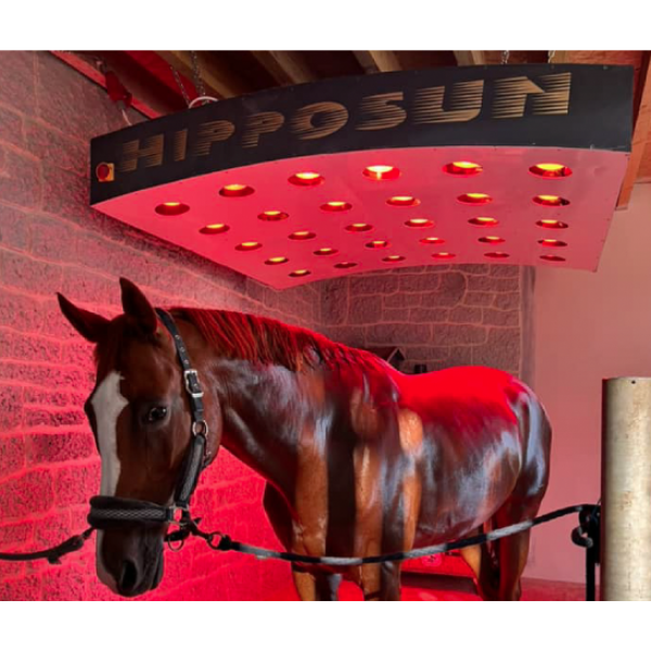 Horse Solarium