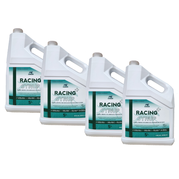 Vitazyme Racing Syrup 20 Litre – AmacronEquine