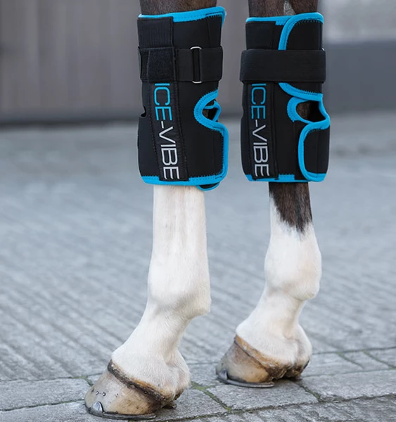 Ice Vibe Knee Wraps Horse Ice Boots – AmacronEquine
