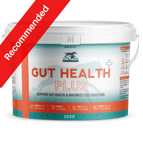 Gut Health Plus 10Kg
