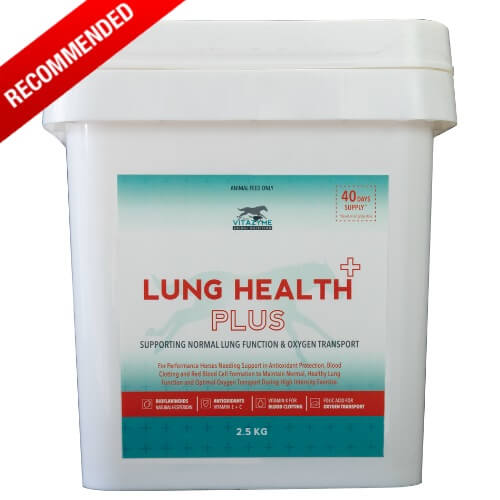 Lung Health Plus 2.5Kg Bucket