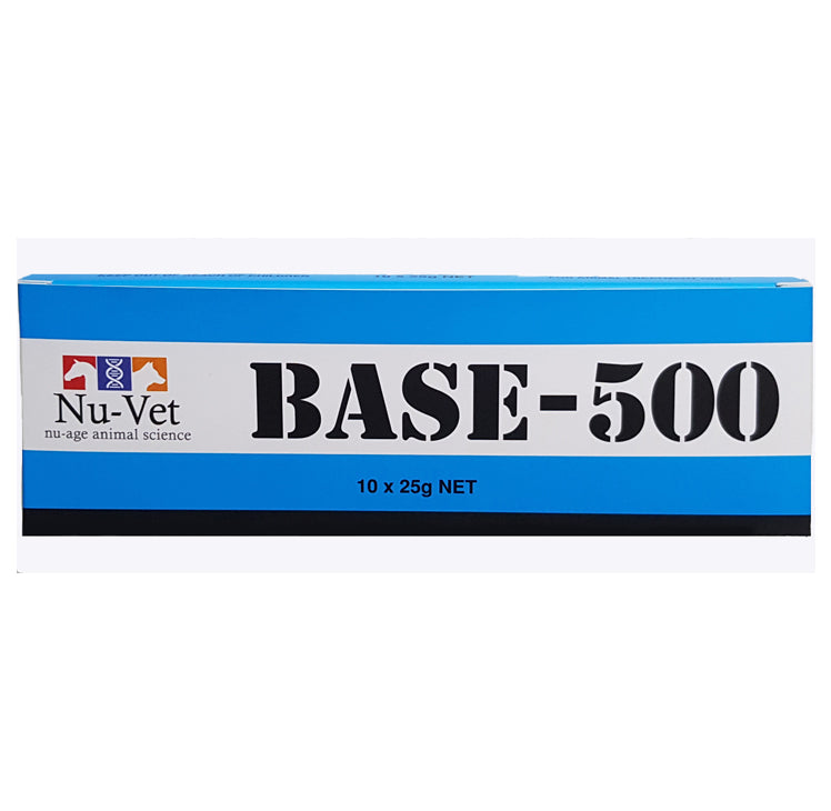 Base-500 (10 x 25g sachets)